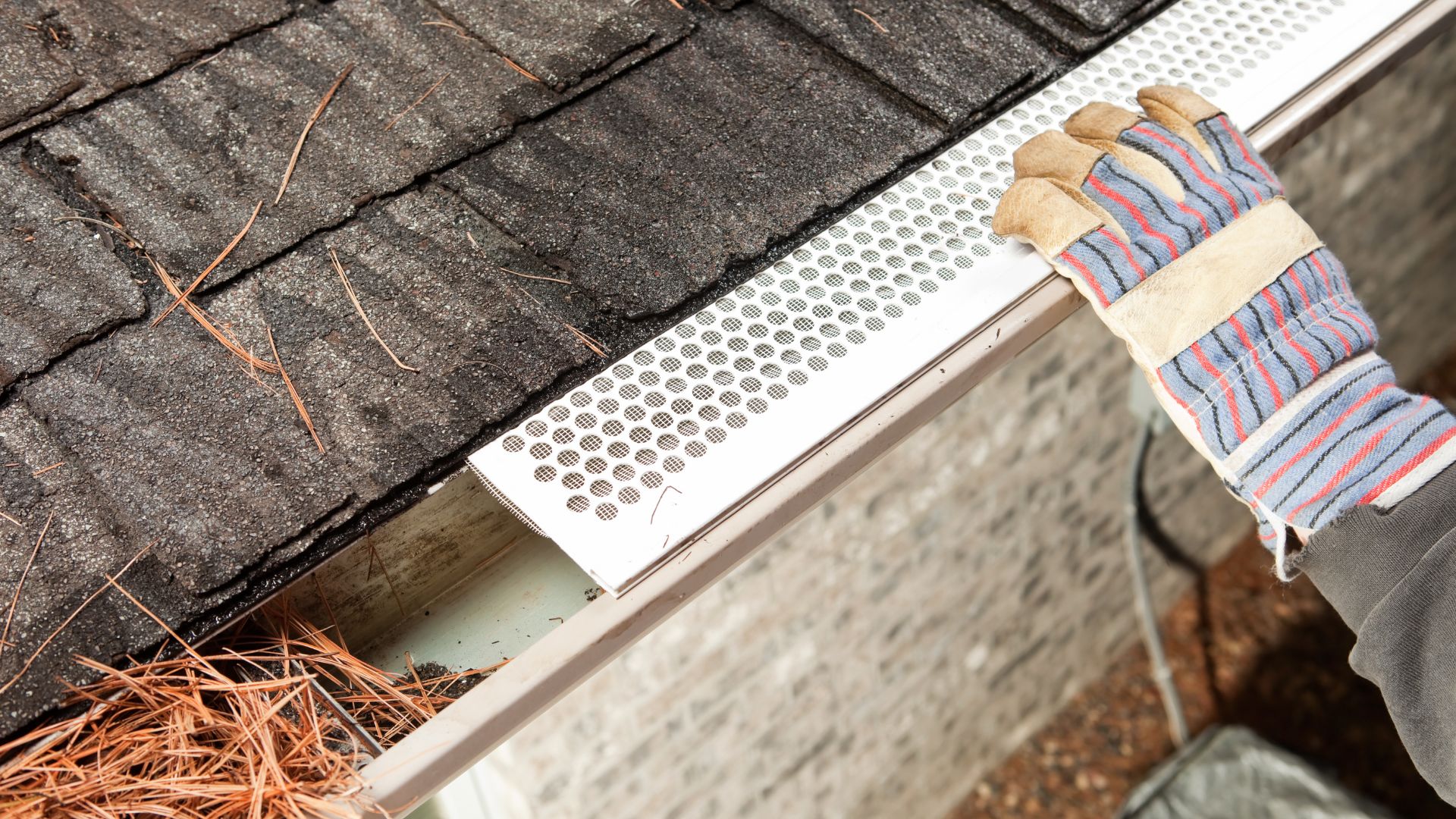 Gutter Guards